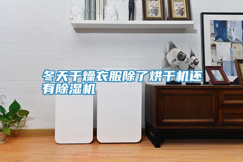 冬天干燥衣服除了烘干机还有除湿机