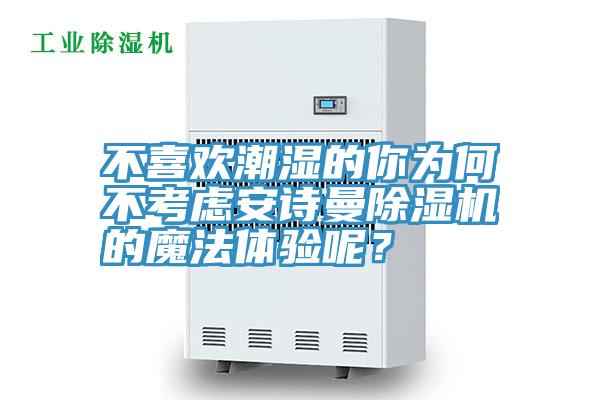 不喜欢潮湿的你为何不考虑安诗曼除湿机的魔法体验呢？