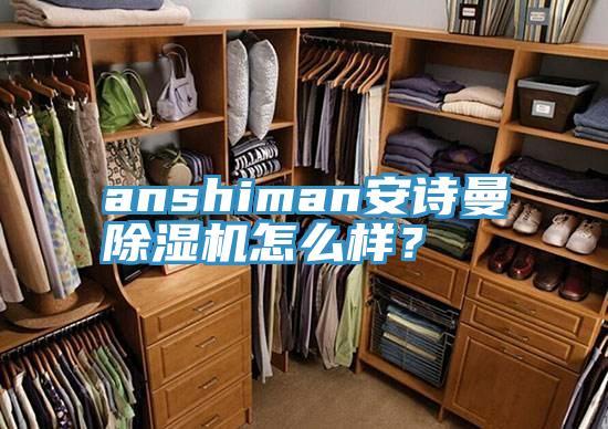 anshiman安诗曼除湿机怎么样？