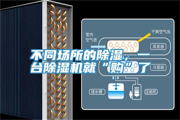 不同场所的除湿，一台除湿机就“购”了