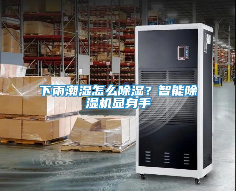 下雨潮湿怎么除湿？智能除湿机显身手