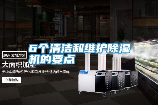6个清洁和维护除湿机的要点