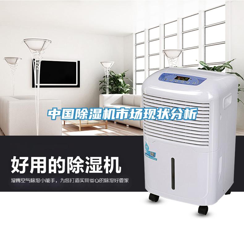 中国除湿机市场现状分析