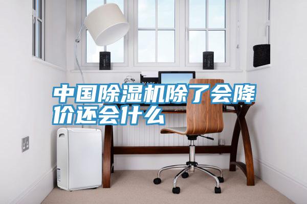 中国除湿机除了会降价还会什么