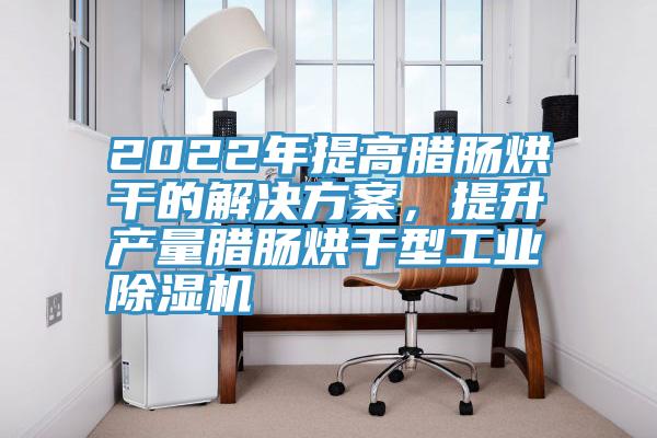 2022年提高腊肠烘干的解决方案，提升产量腊肠烘干型工业除湿机