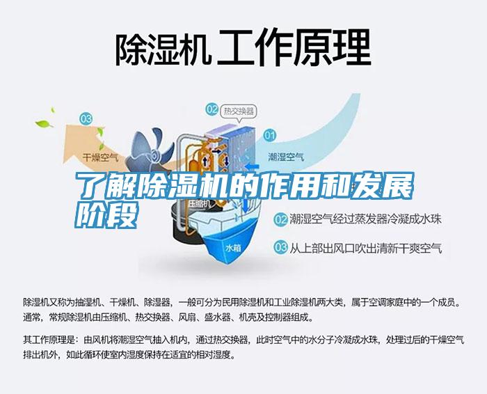 了解除湿机的作用和发展阶段