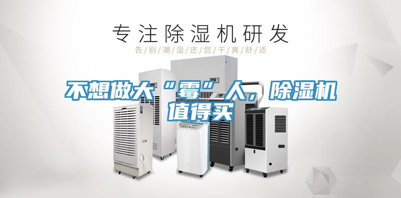 不想做大“霉”人，除湿机值得买