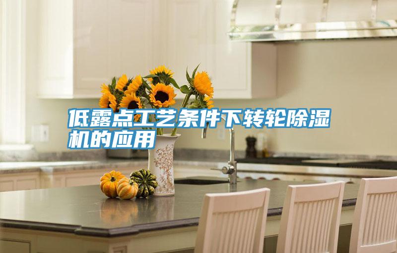 低露点工艺条件下转轮除湿机的应用