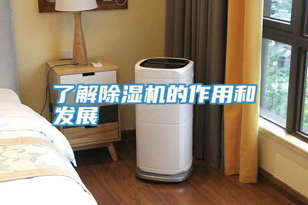 了解除湿机的作用和发展