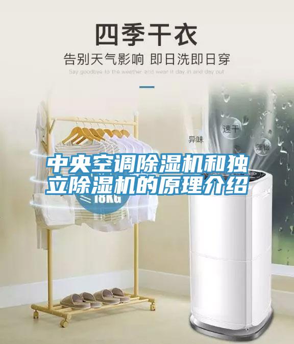 中央空调除湿机和独立除湿机的原理介绍