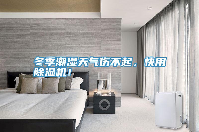 冬季潮湿天气伤不起，快用除湿机！