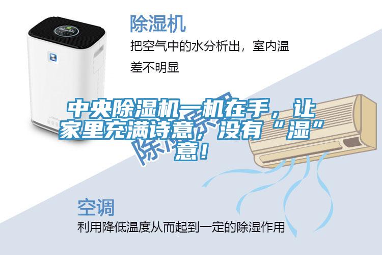 中央除湿机一机在手，让家里充满诗意，没有“湿”意！