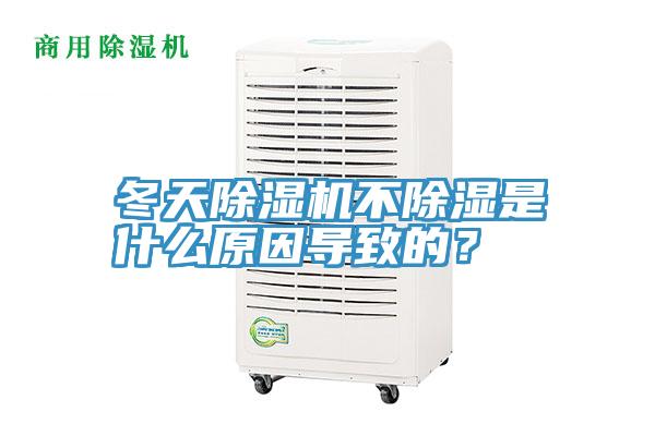 冬天除湿机不除湿是什么原因导致的？