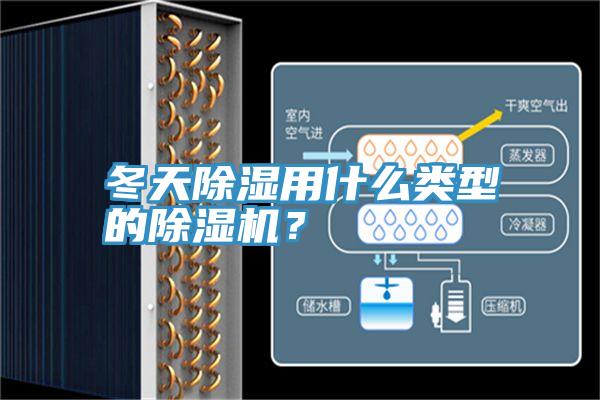 冬天除湿用什么类型的除湿机？