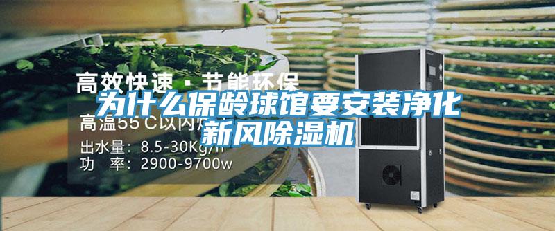 为什么保龄球馆要安装净化新风除湿机