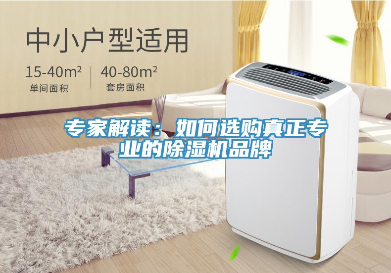 专家解读：如何选购真正专业的除湿机品牌
