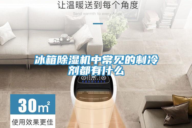 冰箱除湿机中常见的制冷剂都有什么