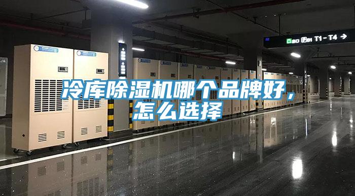 冷库除湿机哪个品牌好，怎么选择
