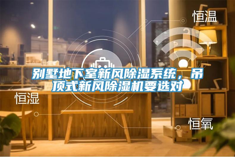 别墅地下室新风除湿系统，吊顶式新风除湿机要选对