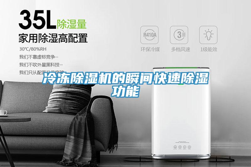 冷冻除湿机的瞬间快速除湿功能
