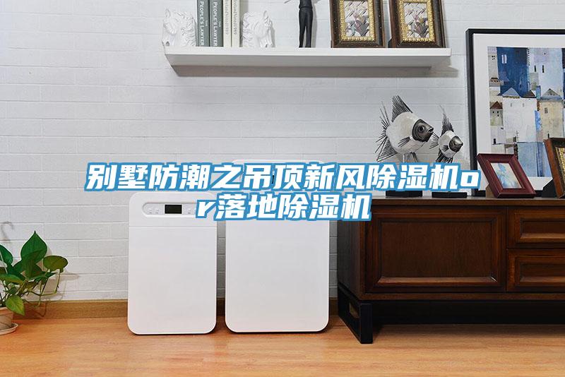 别墅防潮之吊顶新风除湿机or落地除湿机