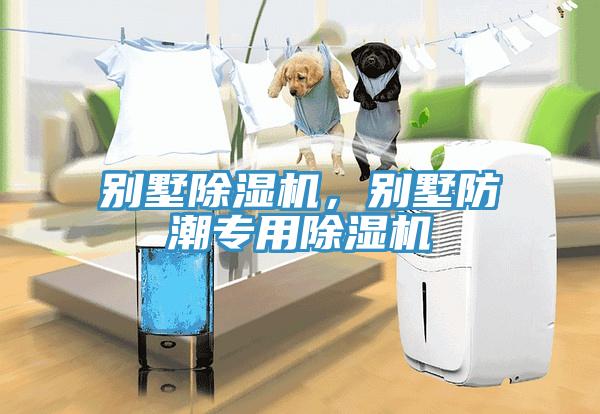 别墅除湿机，别墅防潮专用除湿机