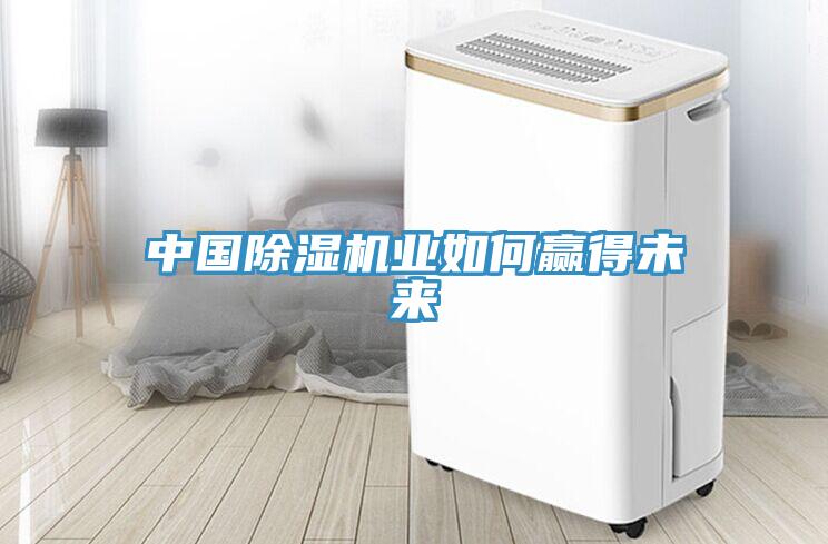 中国除湿机业如何赢得未来