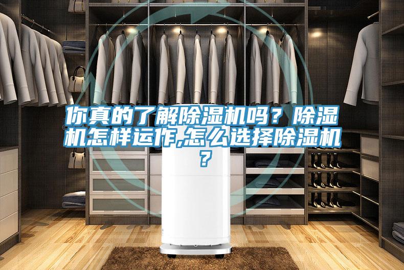 你真的了解除湿机吗？除湿机怎样运作,怎么选择除湿机？
