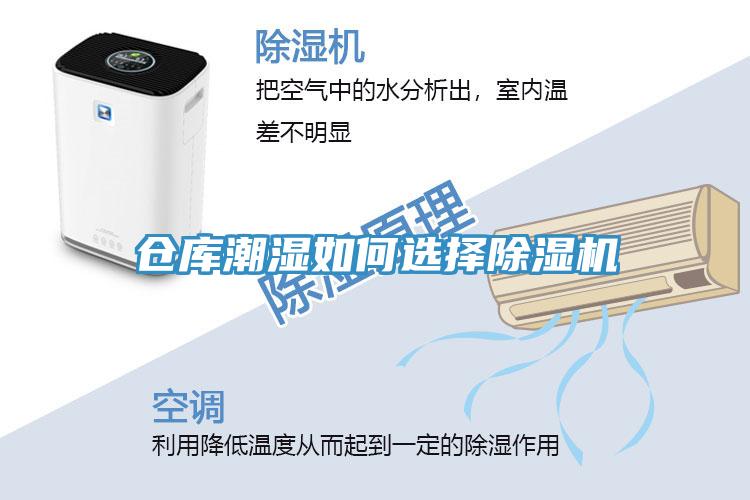 仓库潮湿如何选择除湿机