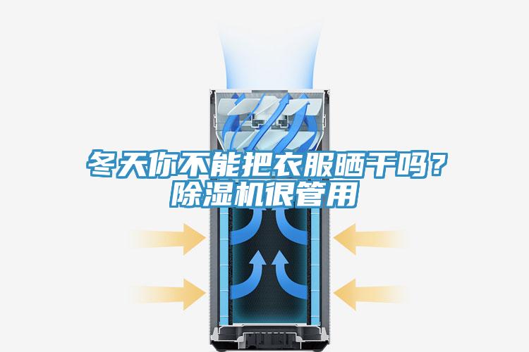 冬天你不能把衣服晒干吗？除湿机很管用