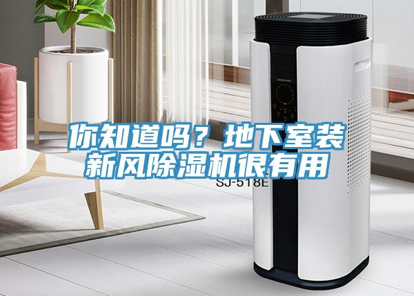 你知道吗？地下室装新风除湿机很有用