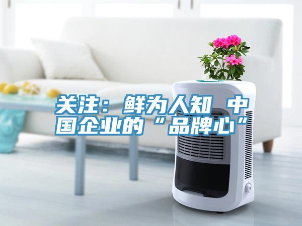 关注：鲜为人知 中国企业的“品牌心”