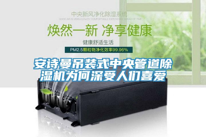 安诗曼吊装式中央管道除湿机为何深受人们喜爱
