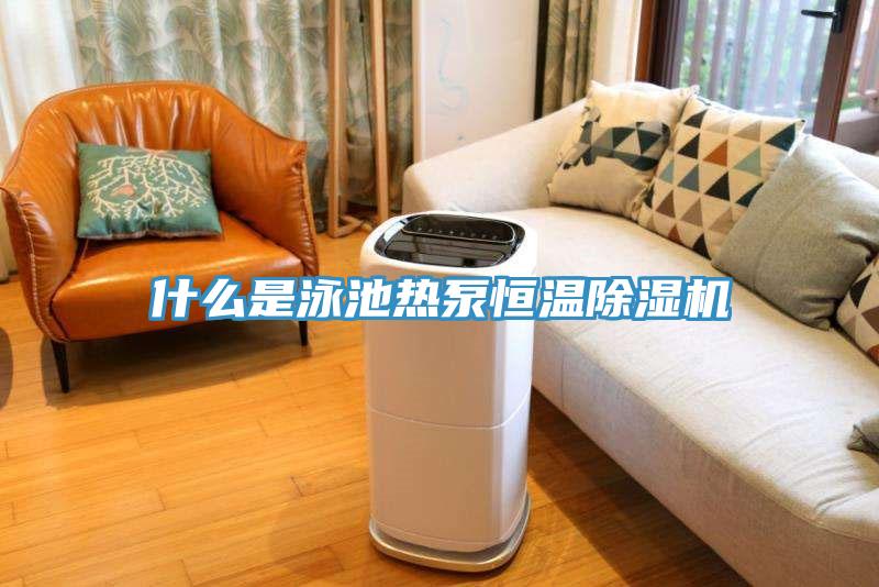 什么是泳池热泵恒温除湿机