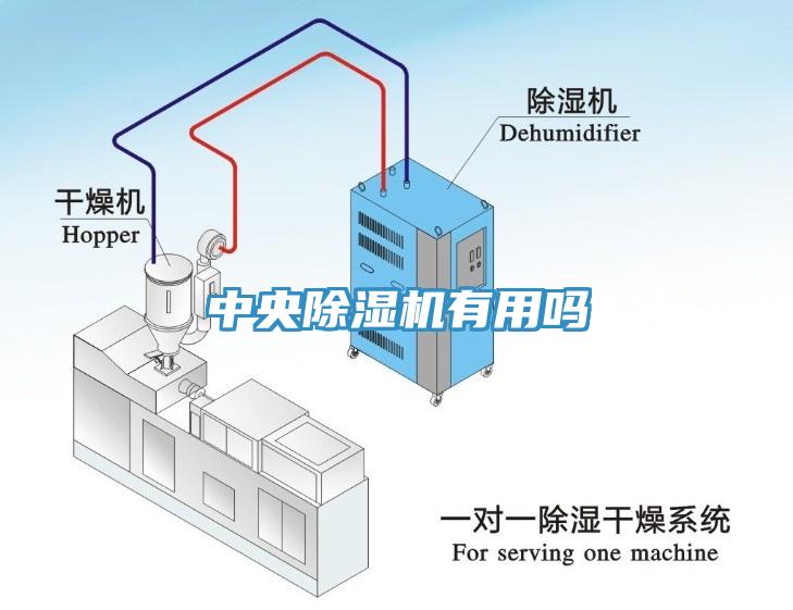 中央除湿机有用吗