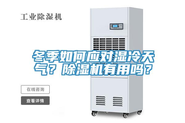 冬季如何应对湿冷天气？除湿机有用吗？