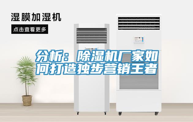 分析：除湿机厂家如何打造独步营销王者