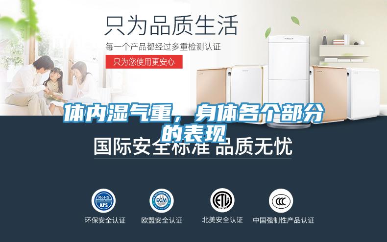 体内湿气重，身体各个部分的表现