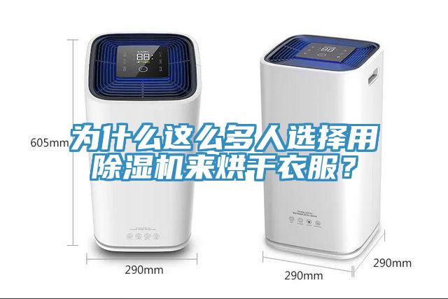 为什么这么多人选择用除湿机来烘干衣服？