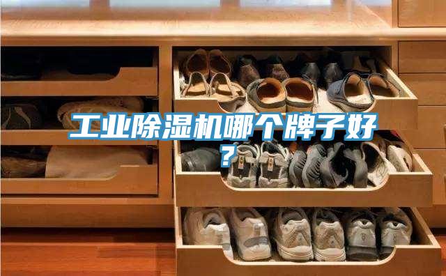 工业除湿机哪个牌子好？