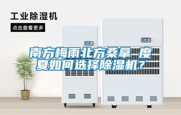 南方梅雨北方桑拿 度夏如何选择除湿机？