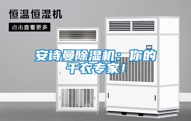安诗曼除湿机：你的干衣专家！