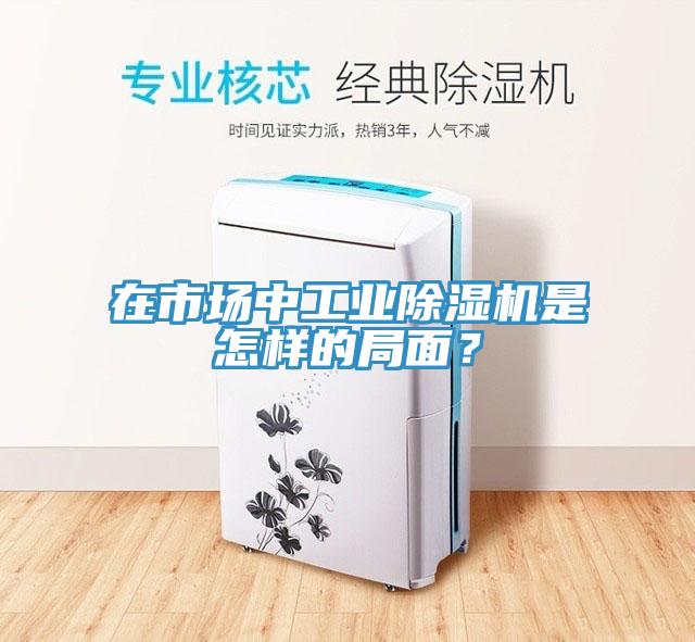 在市场中工业除湿机是怎样的局面？