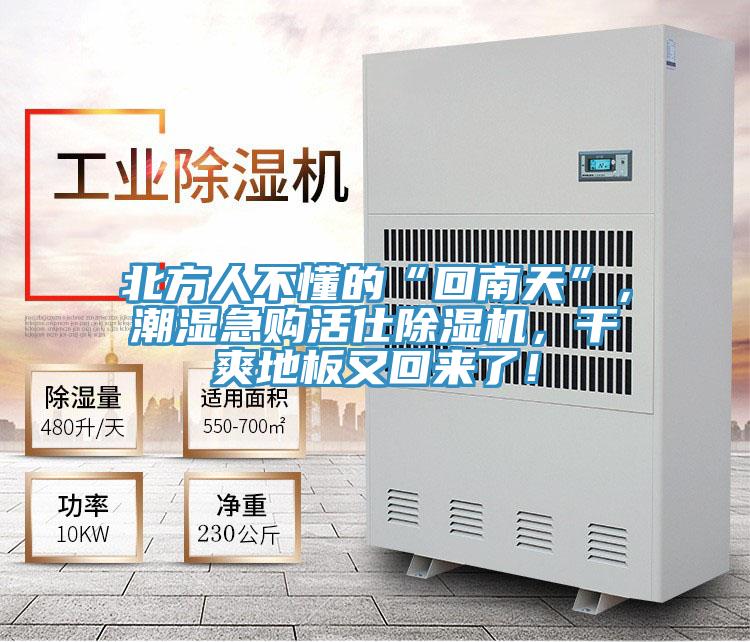 北方人不懂的“回南天”，潮湿急购活仕除湿机，干爽地板又回来了！