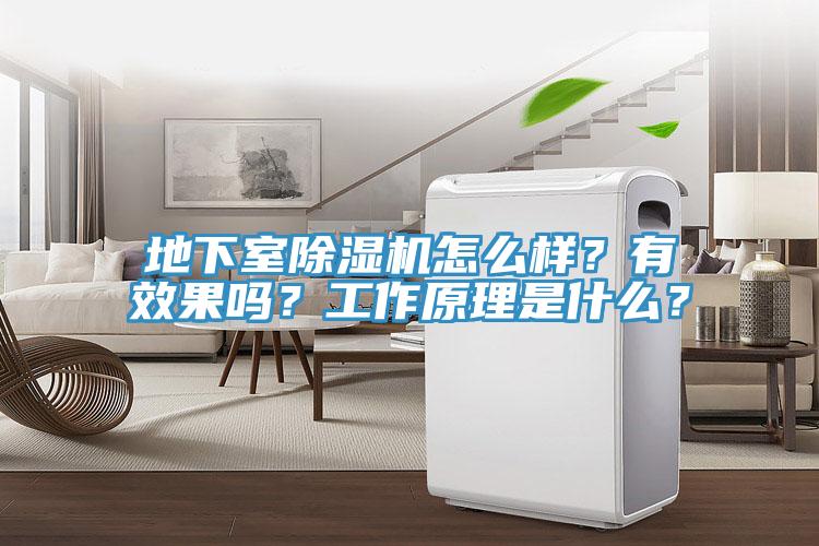 地下室除湿机怎么样？有效果吗？工作原理是什么？
