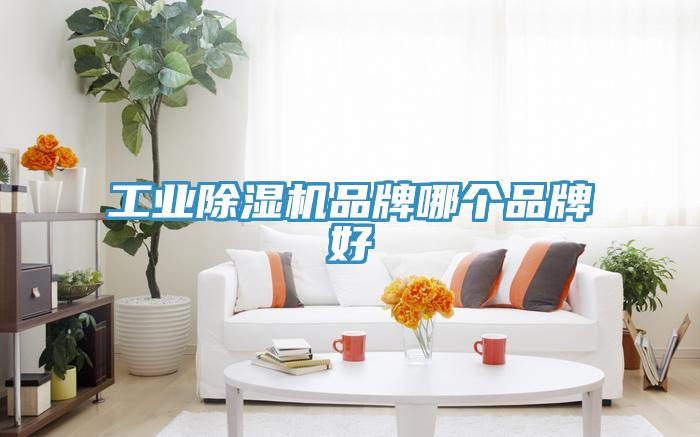 工业除湿机品牌哪个品牌好