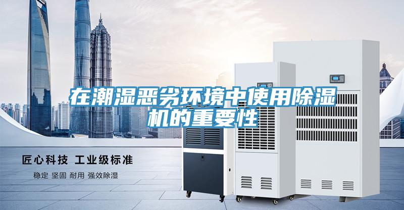 在潮湿恶劣环境中使用除湿机的重要性