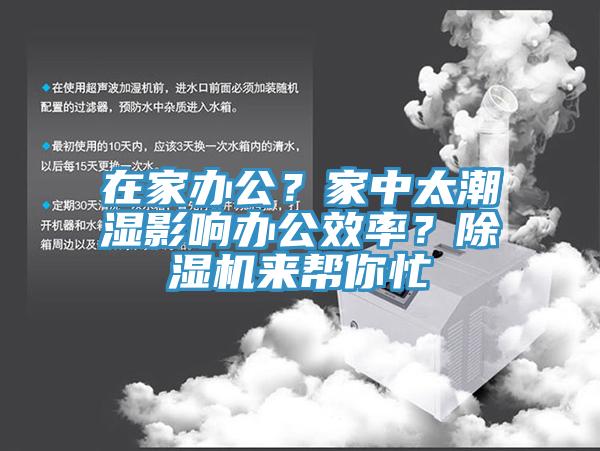 在家办公？家中太潮湿影响办公效率？除湿机来帮你忙