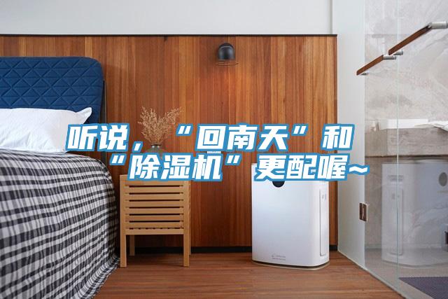 听说，“回南天”和“除湿机”更配喔~