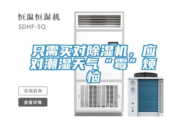 只需买对除湿机，应对潮湿天气“霉”烦恼